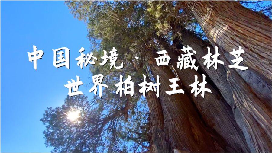 疯狂黏黏乐